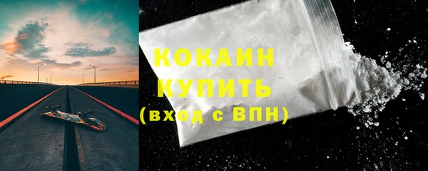 ПСИЛОЦИБИНОВЫЕ ГРИБЫ Белоозёрский