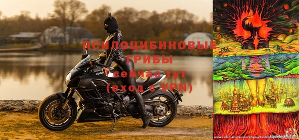 ПСИЛОЦИБИНОВЫЕ ГРИБЫ Белоозёрский